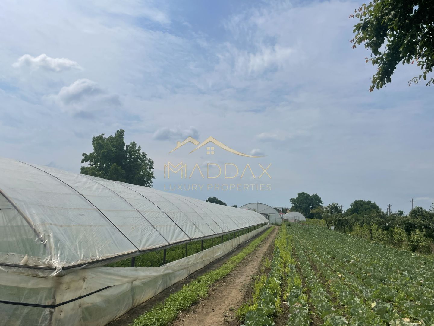 Teren intravilan***1439 mp***Cretesti-Vidra-Ilfov - Poză 5