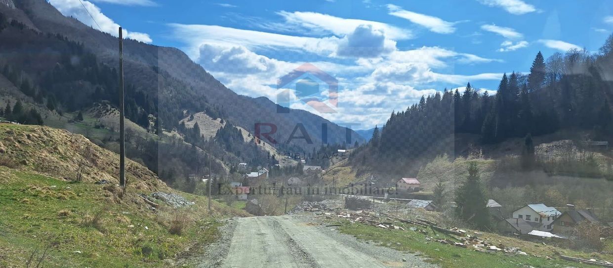 Casa Vacanta Rucar Saticu de Jos Arges - Poză 32