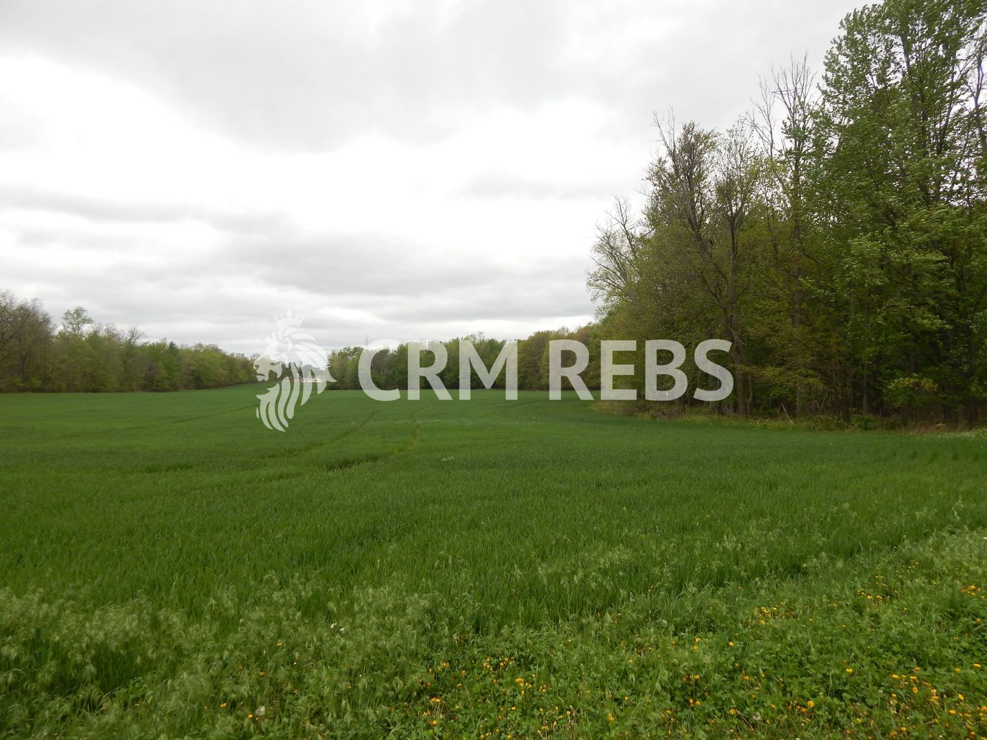 Teren in zona buna de vanzare - Poză 3