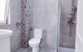 CASA SACALAZ 170 MP CU 640 MP TEREN - Poză 17