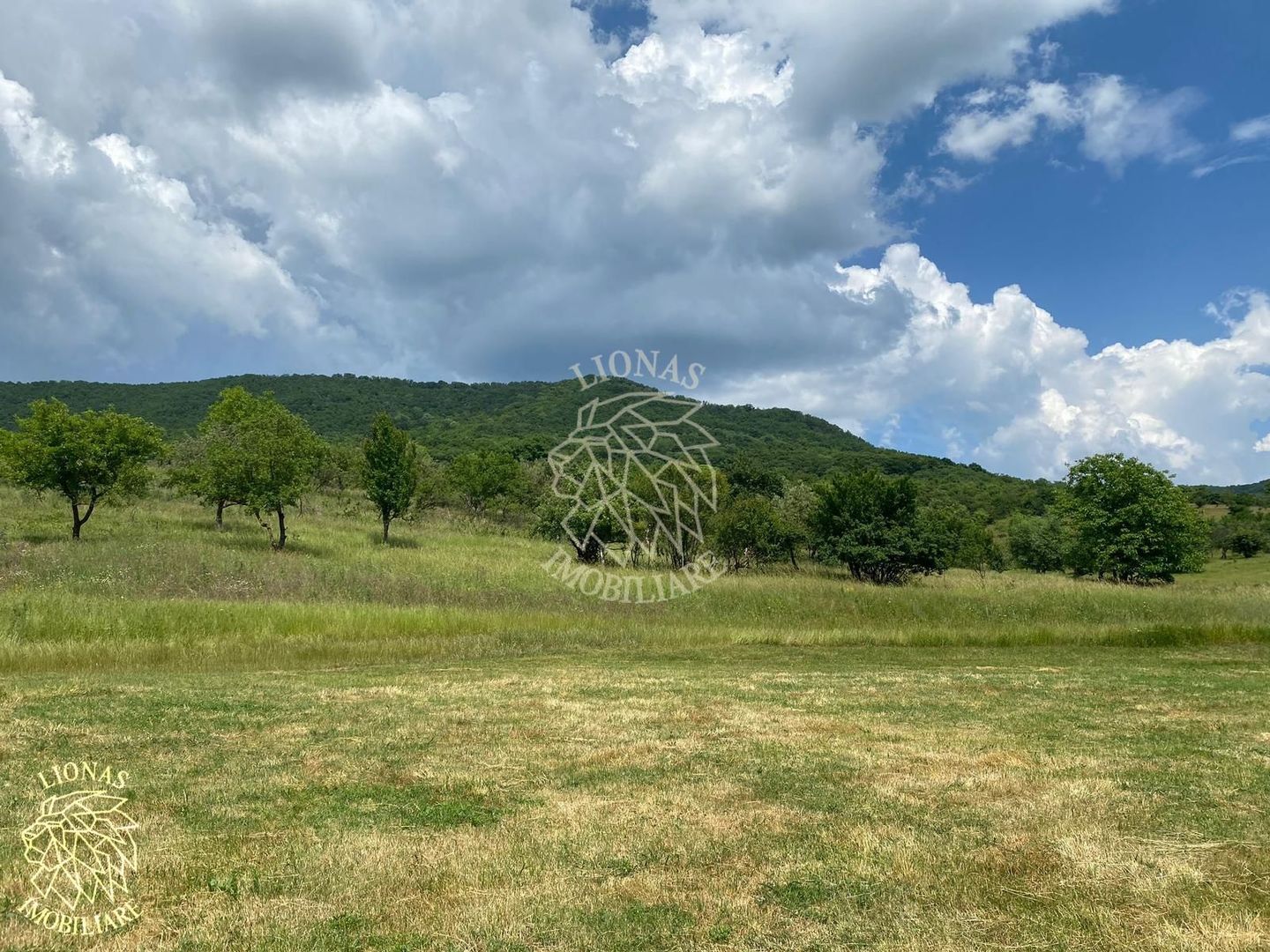 Teren 1000 mp-panoramic-Sieu Magherus la 16 km de Bistrita - Poză 4