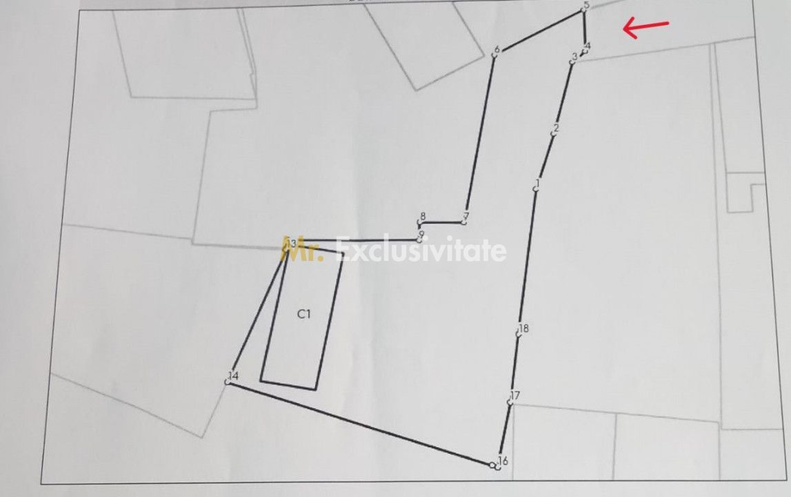 Spațiu Comercial 120 mp, Teren 1017 mp Carei - B-dul 25 Octombrie -Comision 0% - Poză 11
