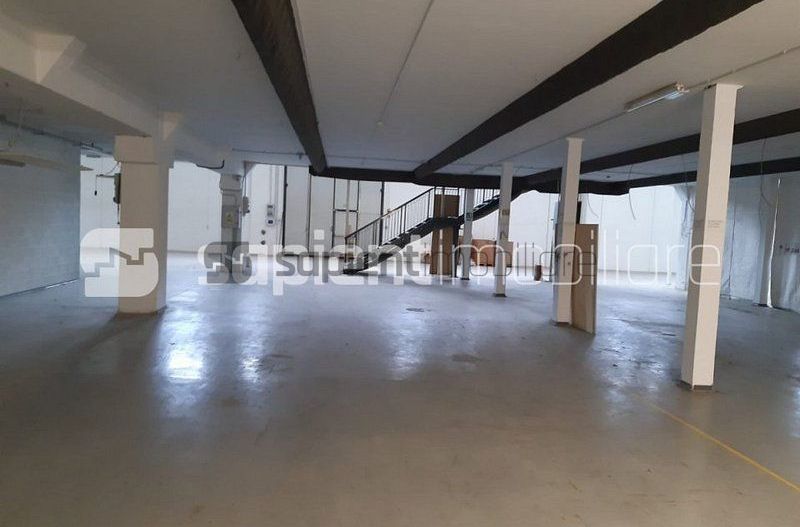 Sapient | Hala situata in com. Borș - Poză 5