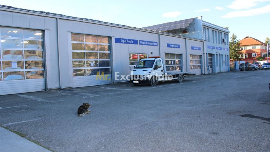 Service Auto Modern și Eficient Energetic în Targu Jiu - Poză 9