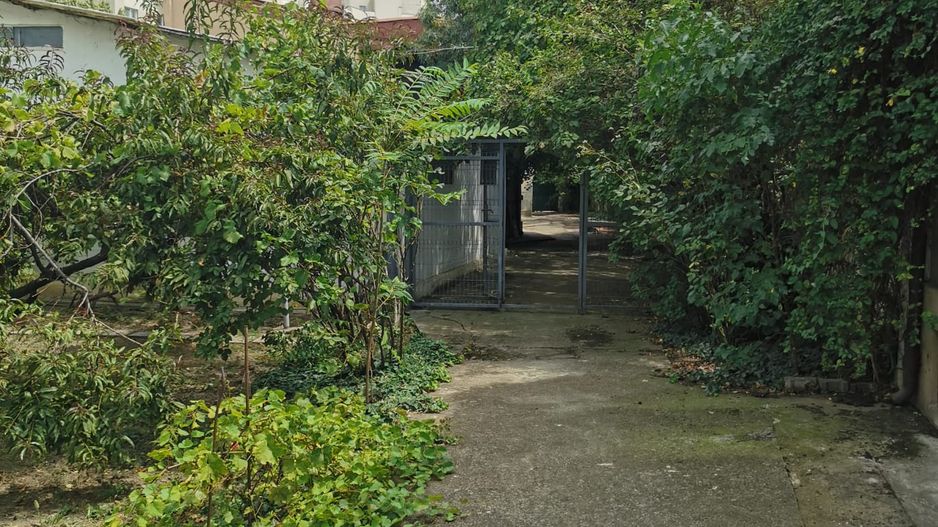 Cel mai ieftin teren central! -  strada Acvila nr 16.  -13 Septembrie - Poză 7
