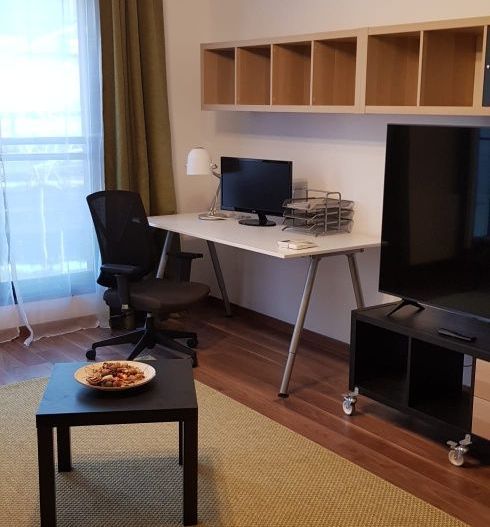 BRASADAS închiriază garsoniera etaj 1 Sp Independenței. - Poză 1