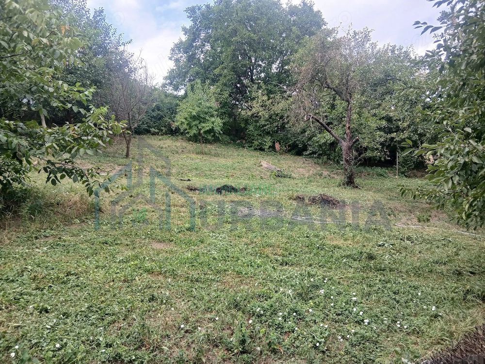 Teren intravilan 1.450 mp cu casă bătrânească și anexă în Podu Iloaiei, Iași - Poză 3