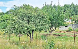 Bran- Predelut, 1000mp teren pentru casa de vacanta, pret 45 euro/mp - Poză 15