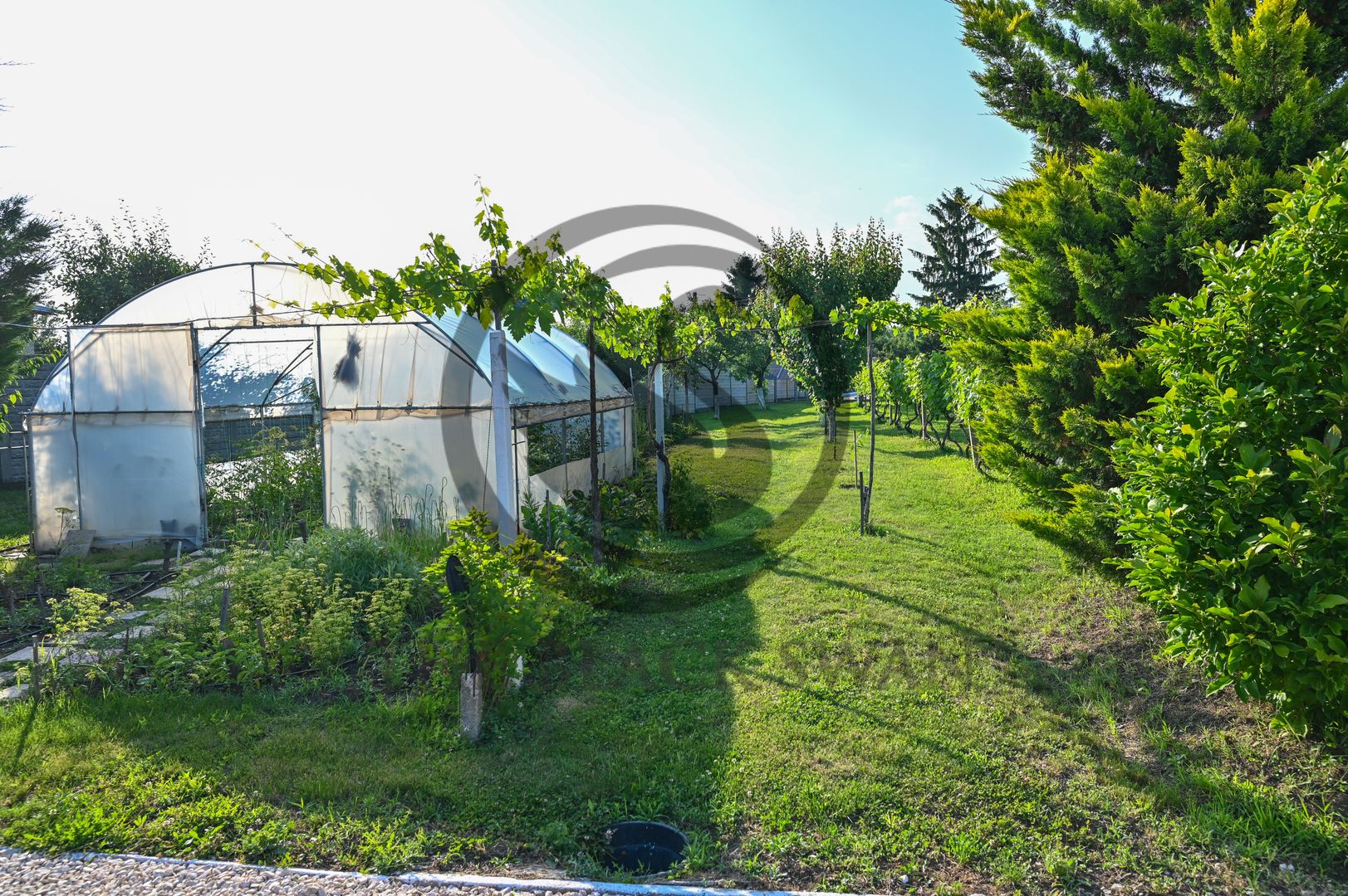 Casa cu piscina de vanzare | 3.300 mp teren | Urlati - Prahova - Poză 22