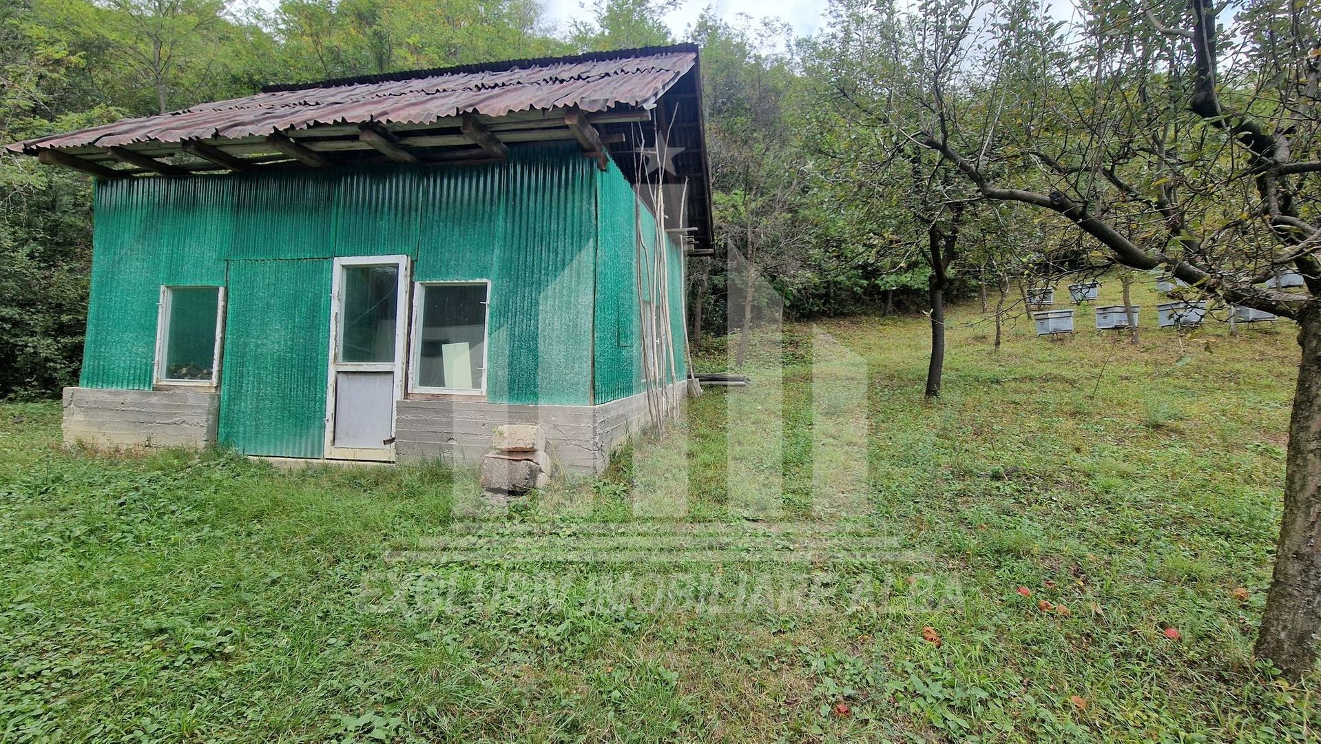 Casa cu livada in Cetea - Poză 23