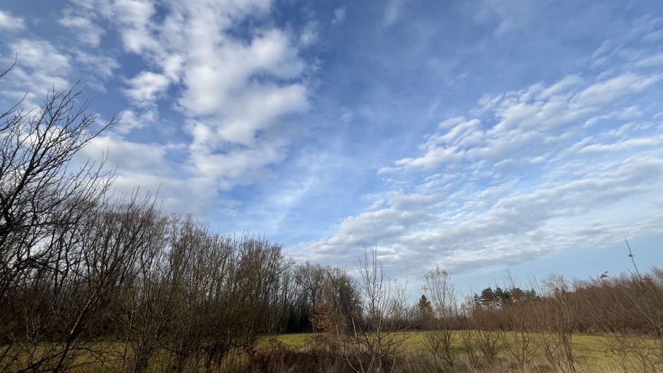 TEREN INTRAVILAN GENEROS | 72 ARI | GALANESTI - Poză 7