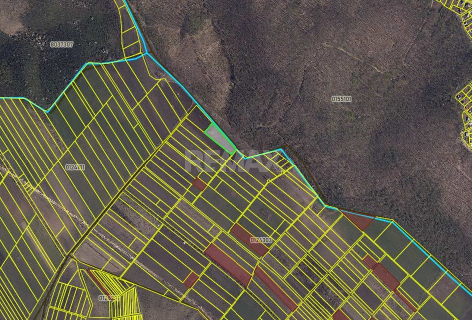Teren 41,49 ari Ghidighici | deschidere 122 m | agricol | investiție - Poză 1