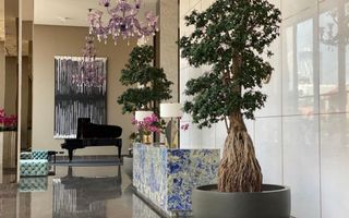 apartament de vanzare -locatie exclusivista- curte proprie- vedere parc - Poză 3