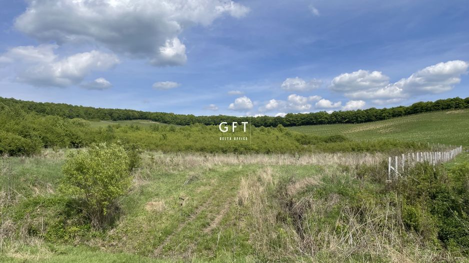 Teren extravilan 10000 mp, Jelna. - Poză 8