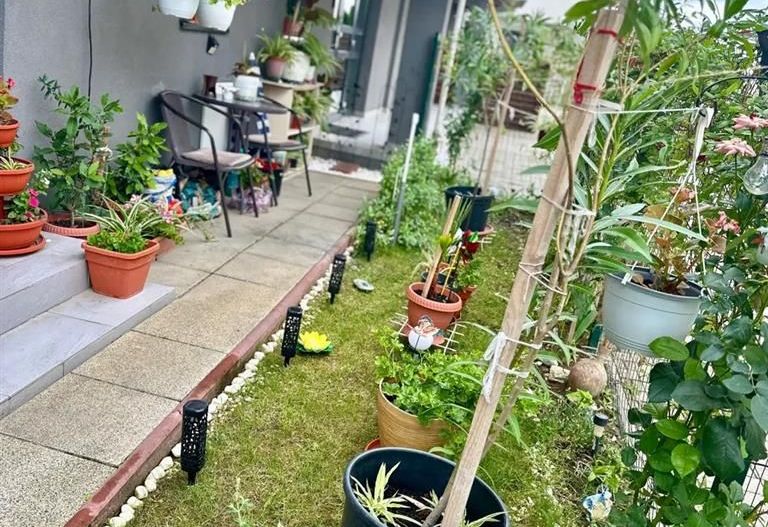 Apartament 2 camere Giroc parter cu gradina - Poză 5