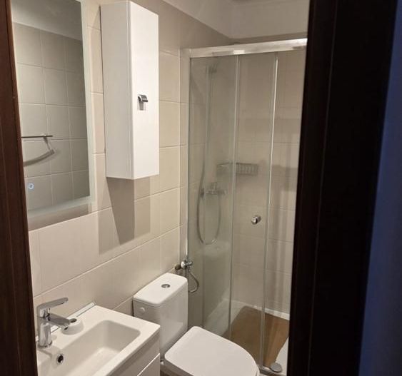 Ap 3 camere Primaverii vedere Herastrau - Poză 13