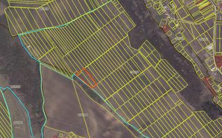 Vânzare, teren agricol, 161 ari, satul Dolinnoe, Criuleni - Poză 3