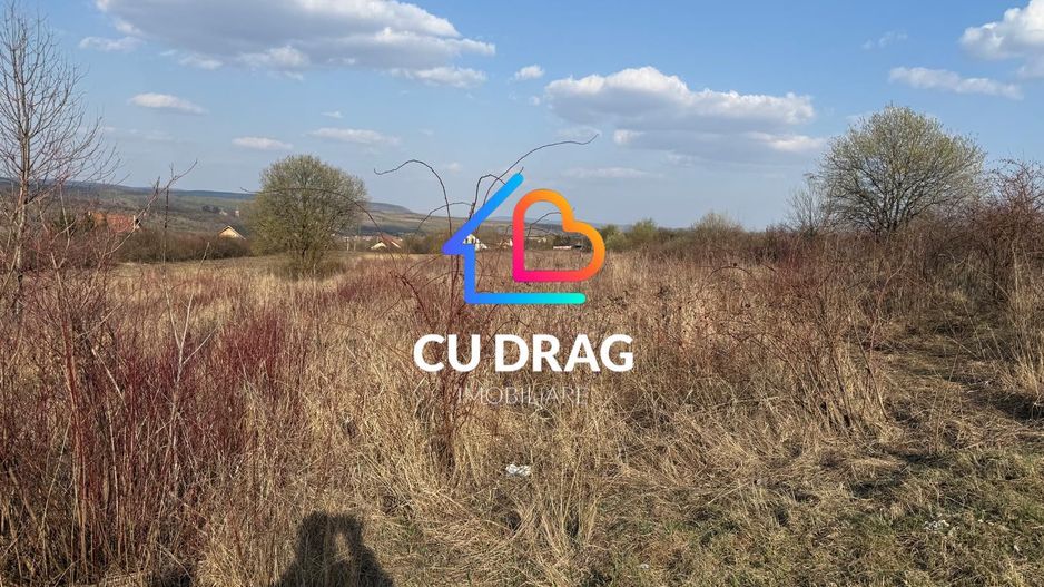 Teren intravilan cu toate utilitatile si drum amenajat Daia - Poză 3