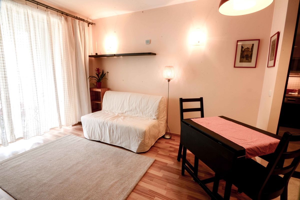 AP.2 CAMERE- ROSE GARDEN, PET-FRIENDLY, PARCARE, MASINA DE SPALAT VASE - Poză 10