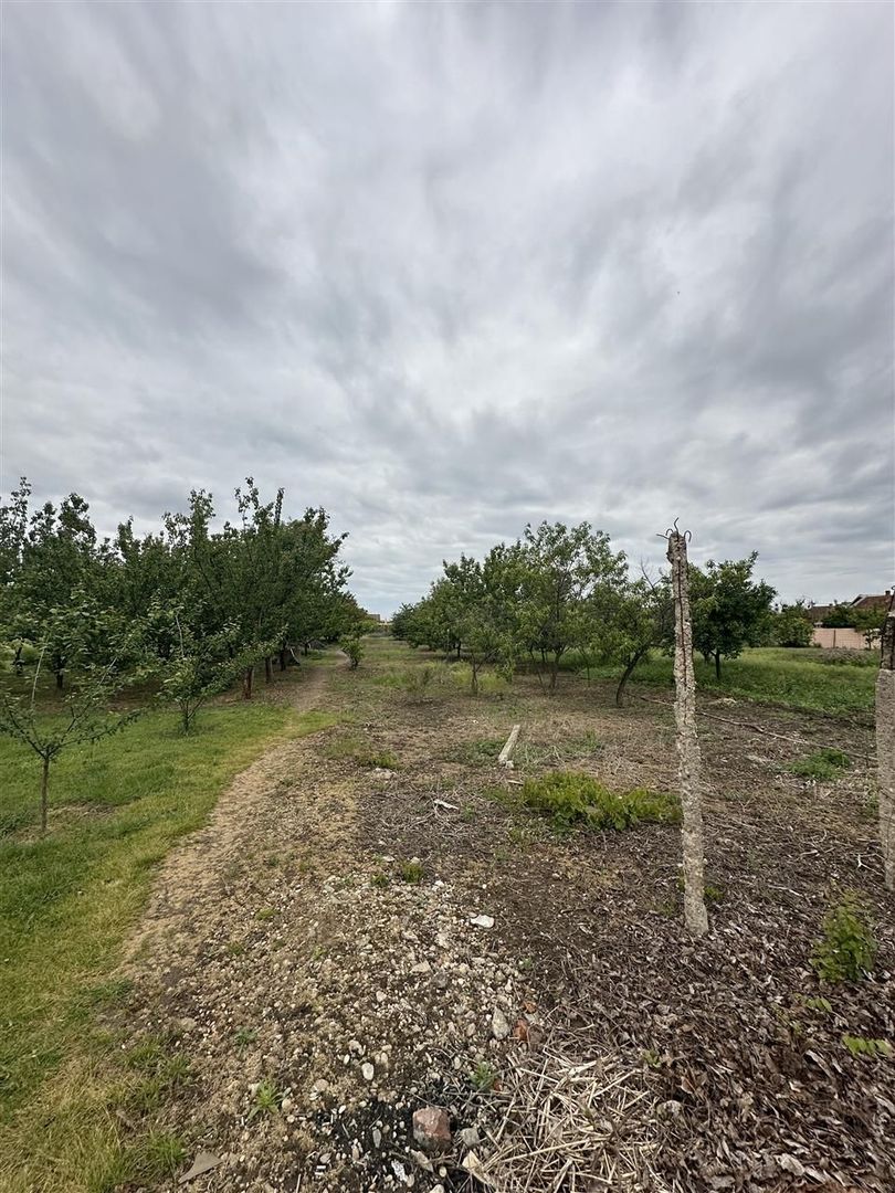 Casa cu teren de 2000mp Episcopia - Poză 1