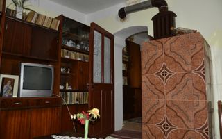 CASĂ TRADIȚIONALĂ CU GRĂDINĂ GENEROASĂ ȘI VIE – ISACCEA, JUD. TULCEA - Poză 9