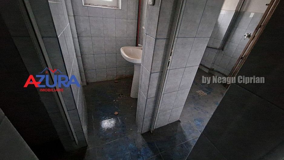 Hala Pitesti cu Pod Rulant, acces TIR - Poză 10