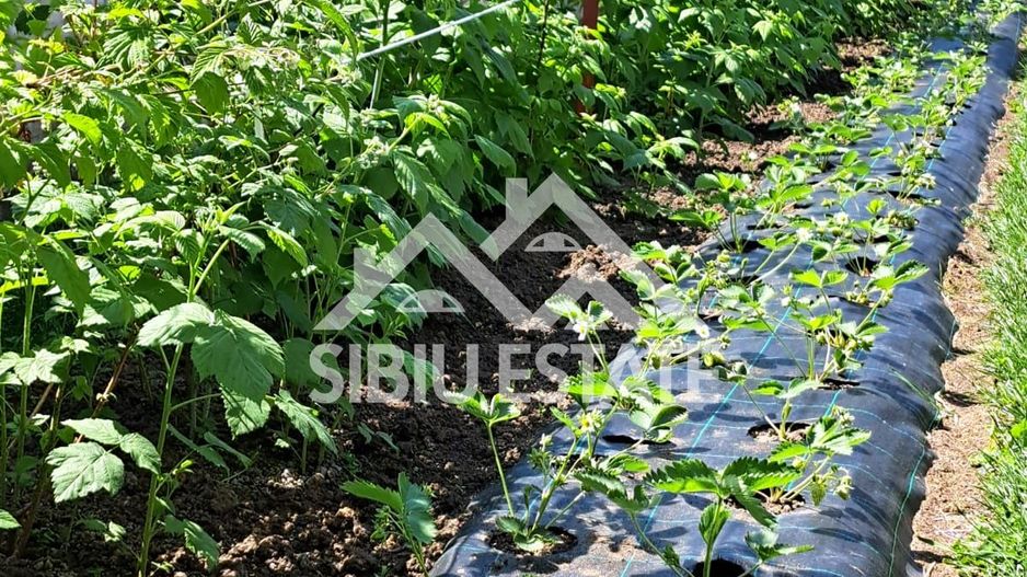 Casa moderna individuala cu 5 camere 184 mp utili , teren 500 mp . - Poză 10