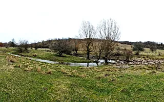 Terenuri extravilane de vânzare – Vizma & Crivobara, comuna Secaș, jud. Timiș - Poză 11