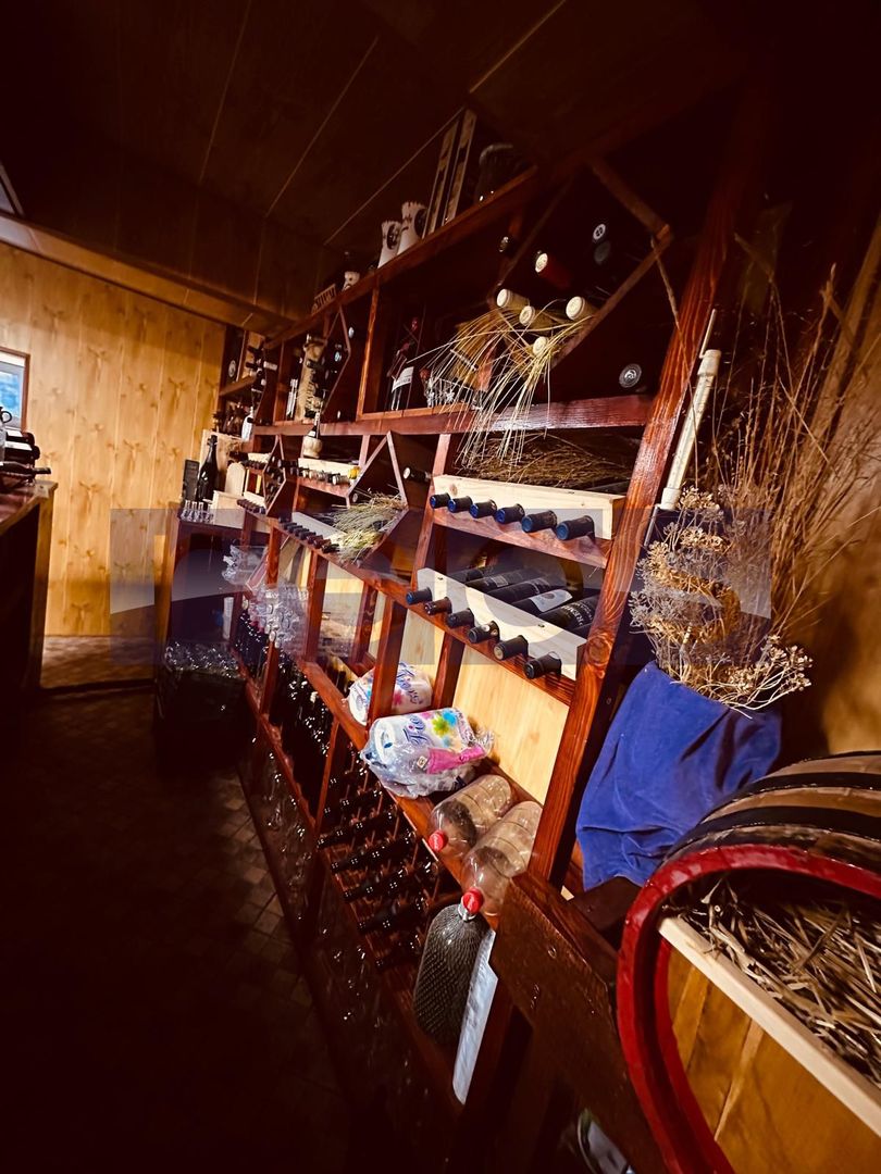 VILA DE VANZARE PE LAC | CREVEDIA | 7 CAMERE - Poză 13