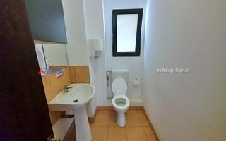 Inchiriere spatiu birouri Exercitiu-Teilor Pitesti - Poză 8
