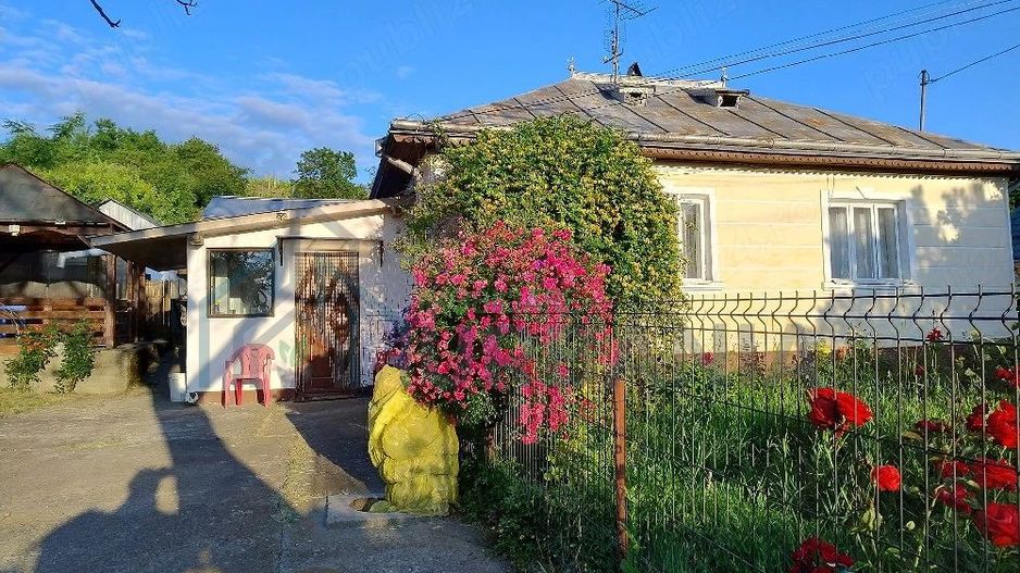 Casă cu teren în Deleni, Iași - Stradă principală - Poză 1