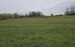 Vindem 7000mp,cu panorama deosebita a orasului Oradea - Poză 5