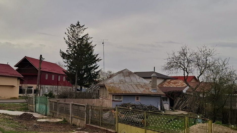 Crevedia - Darza , teren si casa batraneasca - Poză 3