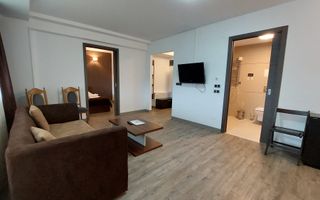 2 camere, intim, semineu, Silver Mountain - Poză 3