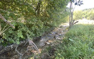 Teren extravilan de vânzare în Râșnov | 6.070 mp | Vedere panoramică - Poză 11