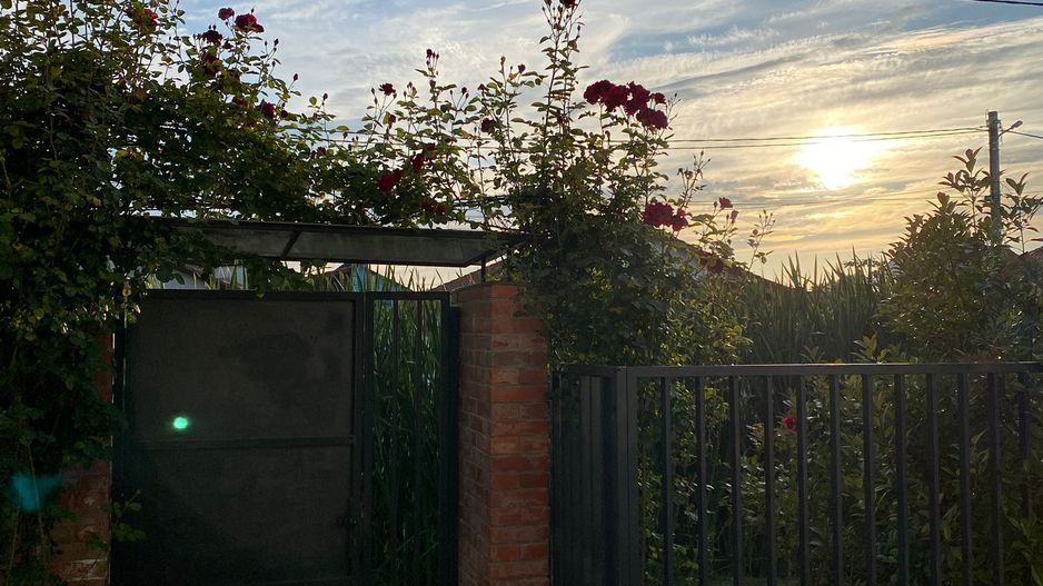 Vila Sinanadrei - Poză 17