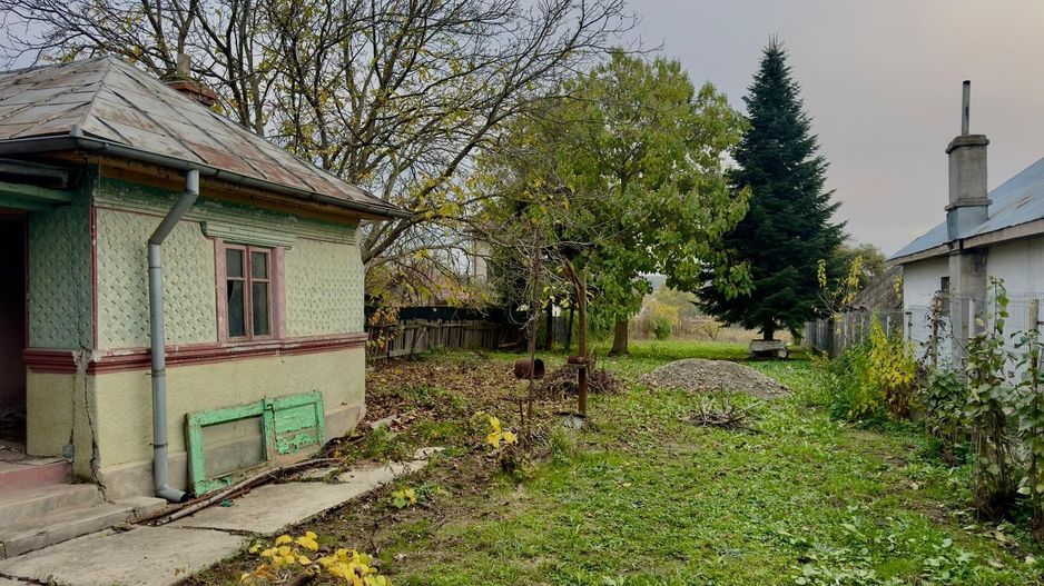 Teren Intravilan | Deschidere Lac Snagov | Ponton | Curatat | Toate utilitatile - Poză 16