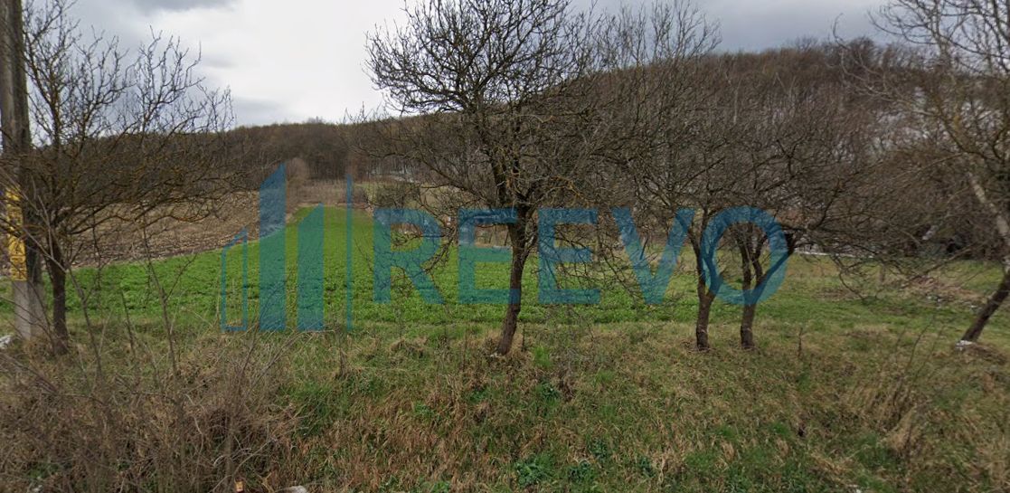 Vanzare Teren - Comuna Beresti-Tazlau, sat Bosoteni - Poză 2