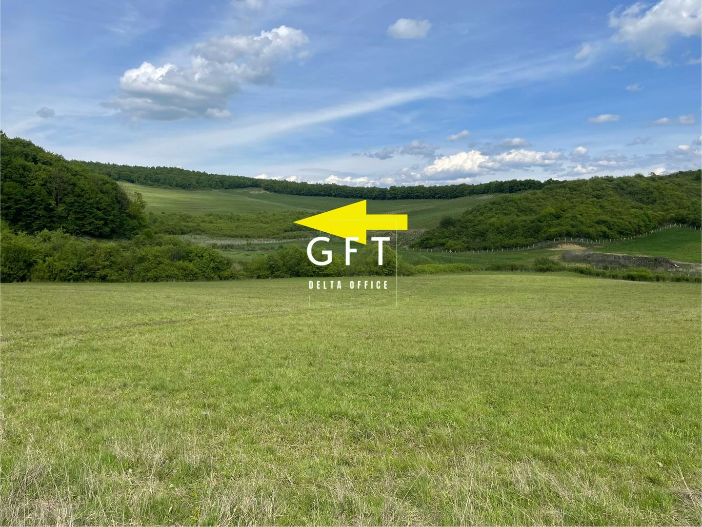 Teren extravilan 10000 mp, Jelna. - Poză 2