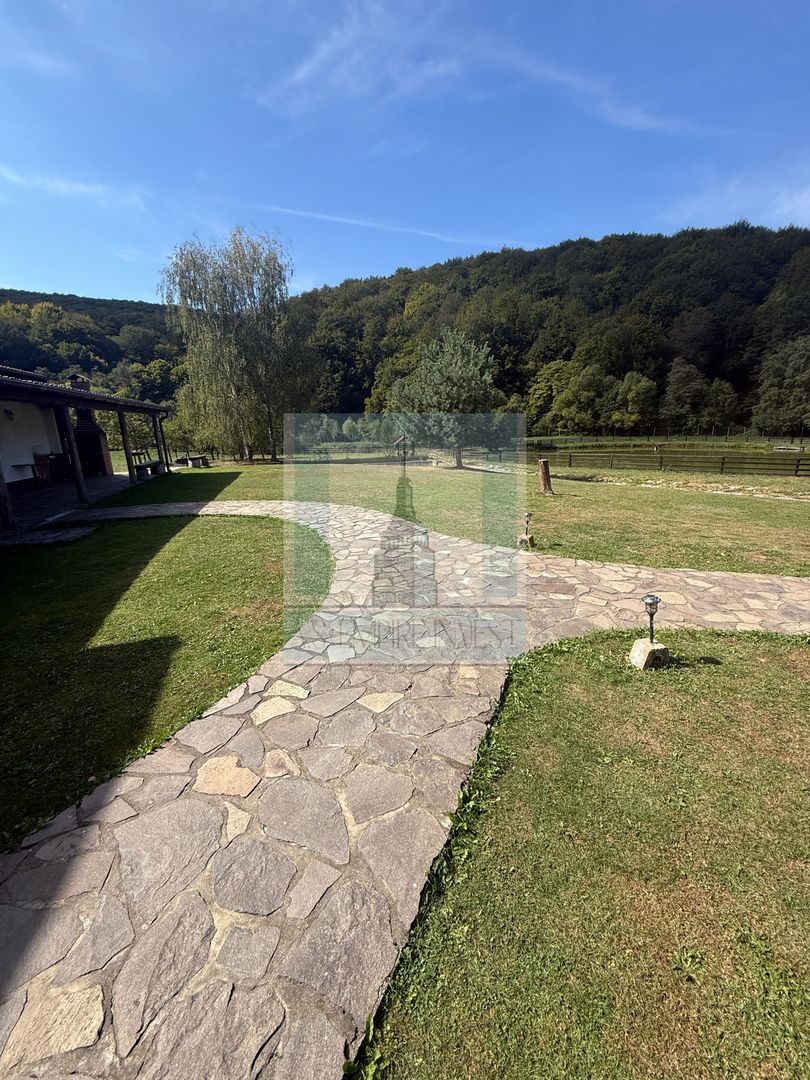 Complex Turistic activ,  2 lacuri ,teren 16800 mp -zona Valea Dobârlău - Poză 19