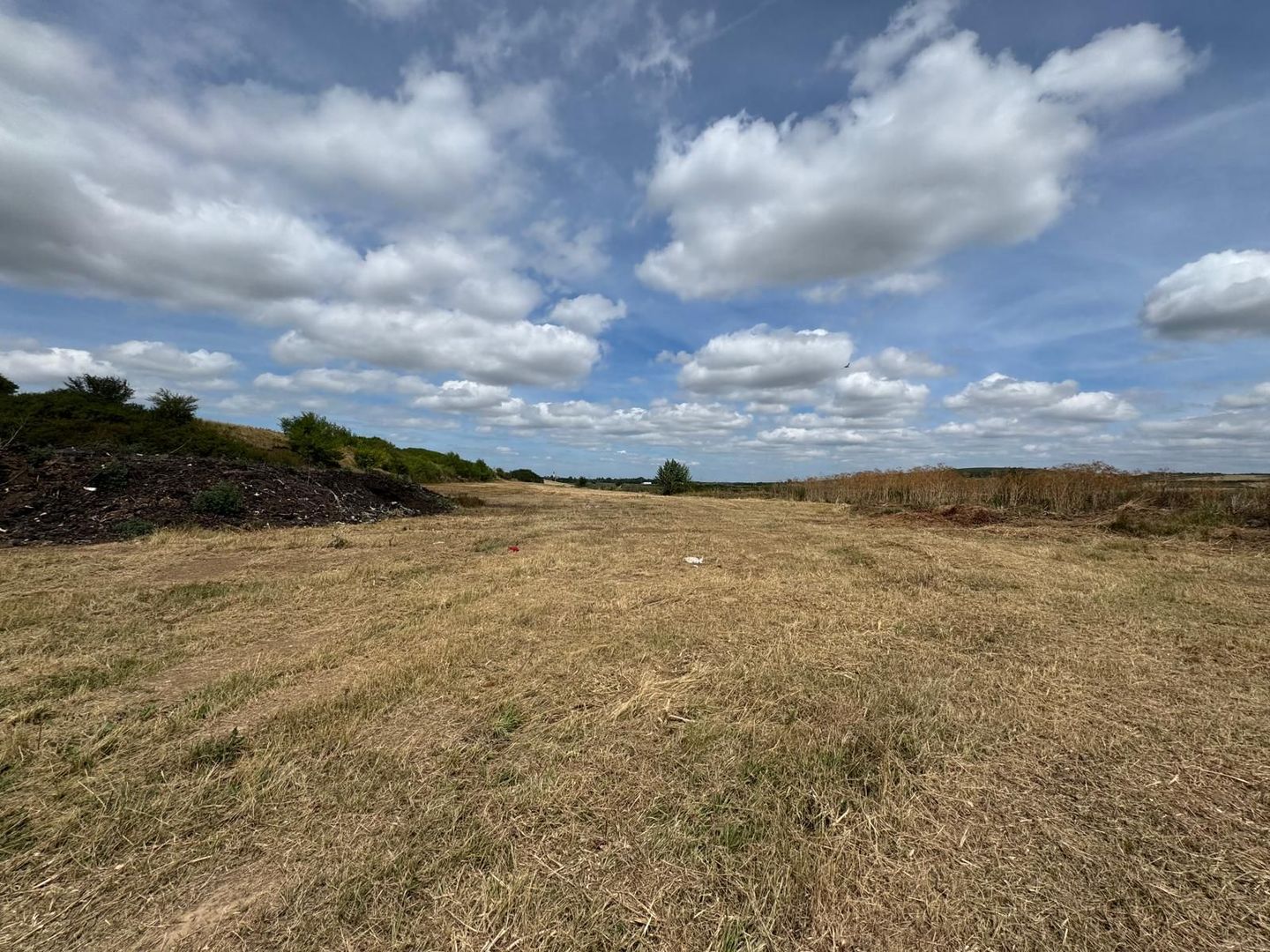 Teren Extravilan Biharia - Poză 2