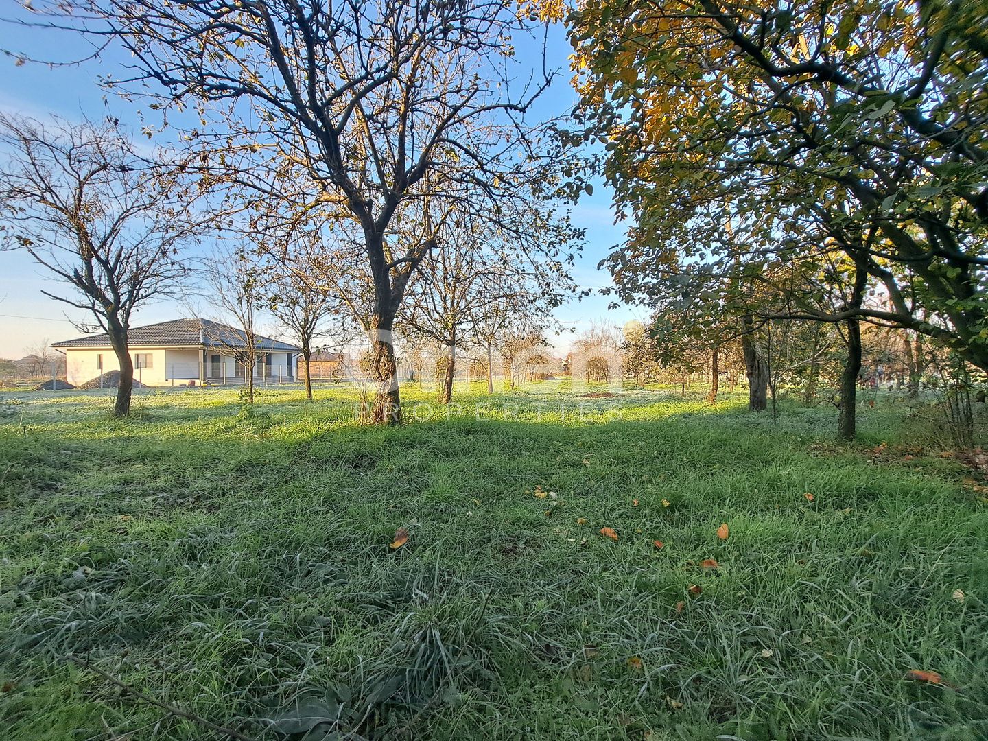 Casa de vanzare Seini - Poză 2