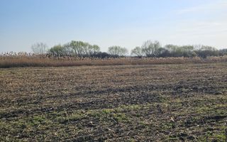 Teren extravilan pentru balastiera Biharia - Poză 3