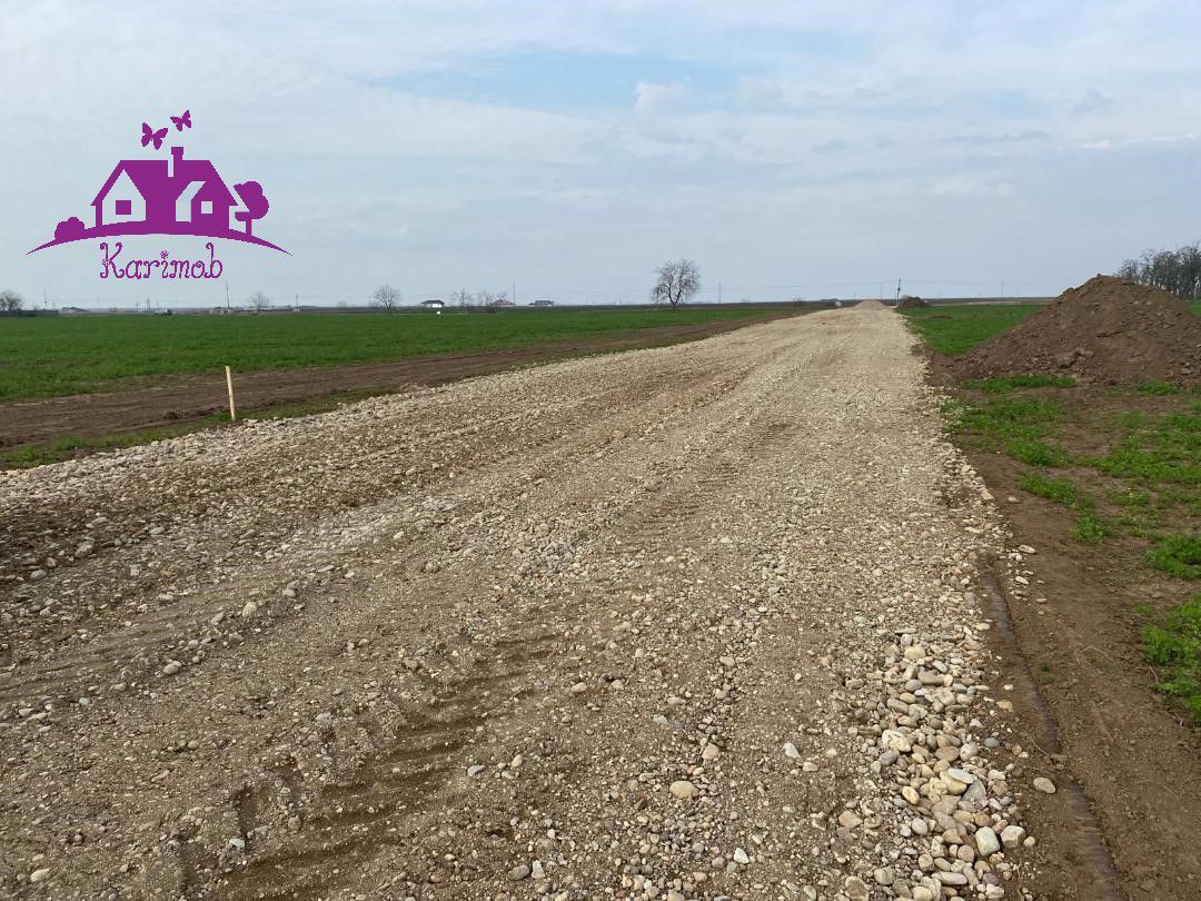 Teren industrial pentru hale - Poză 4