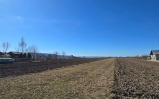 Teren de 20 ari | Intravilan | Iluminat stradal | 34.000 EUR Pătrăuți - Poză 2