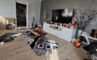 Vilă cu 5 camere și 2 băi, teren 650 mp, în zona Horpaz, Iași - Poză 2