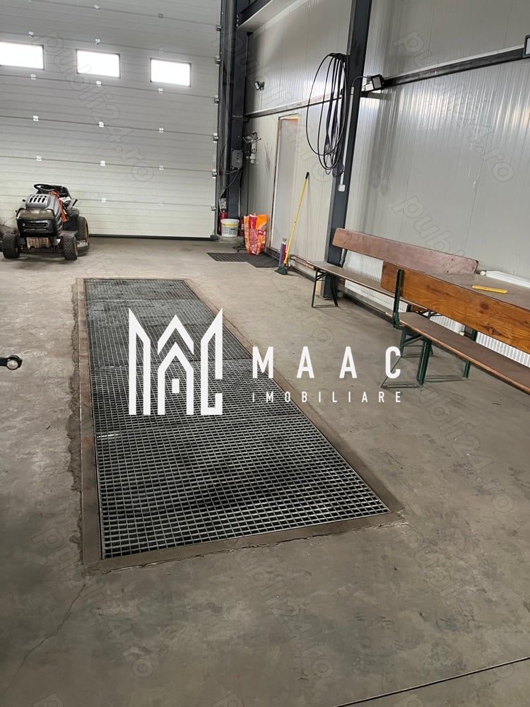 Hală industrială I Birouri I Parcare I TIR I 12000 mp I Bradu - Poză 7