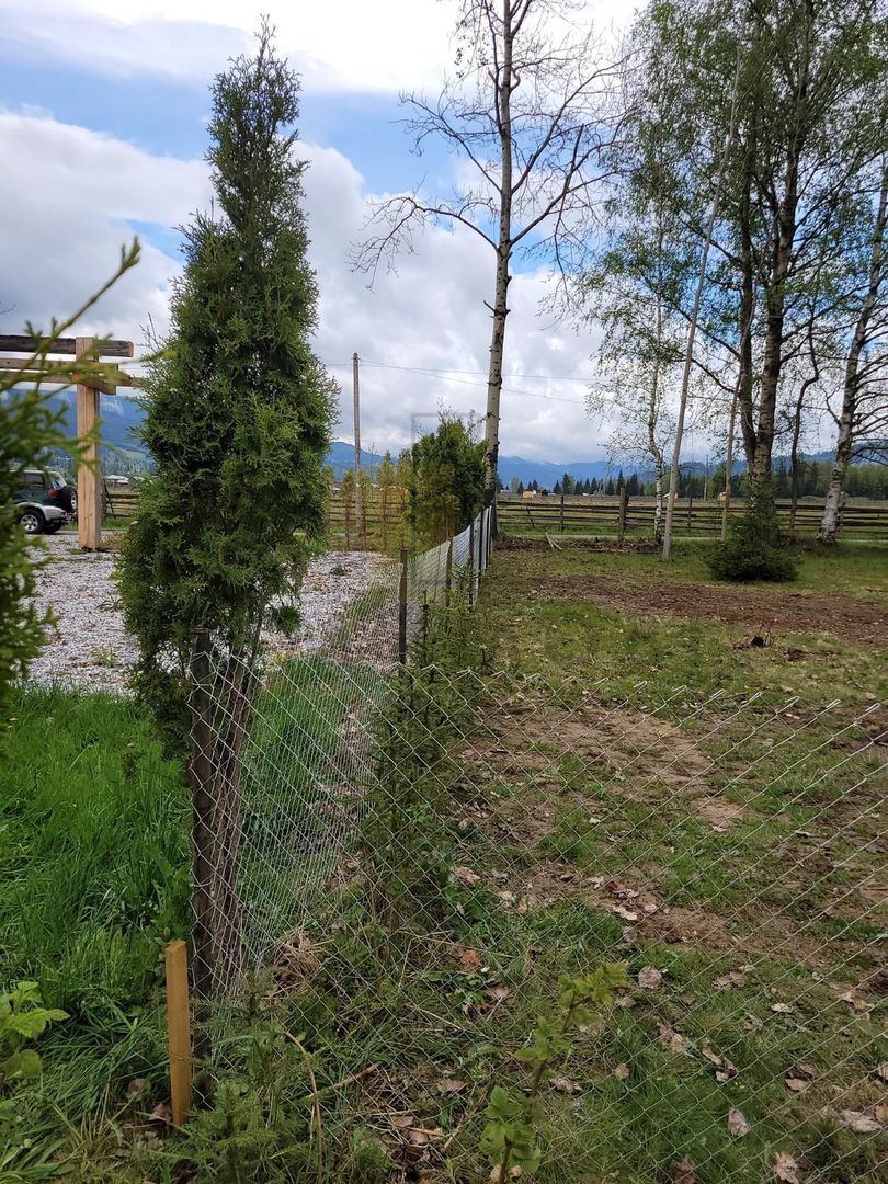 Teren Saru Dornei / Neagra Sarului - oportunitate investitie - Poză 5