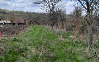 Teren de vanzare in Vaidei - Poză 3