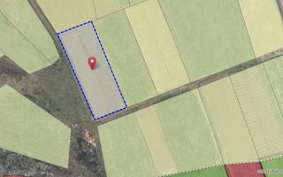 Tabăra/Orhei | 11,62 ari | Teren în inima Codrilor – Ideal pentru evadare în natură sau investiție - Poză 3